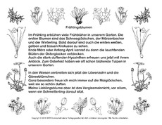 Abschreibtext-Frühlingsblumen-SW.pdf